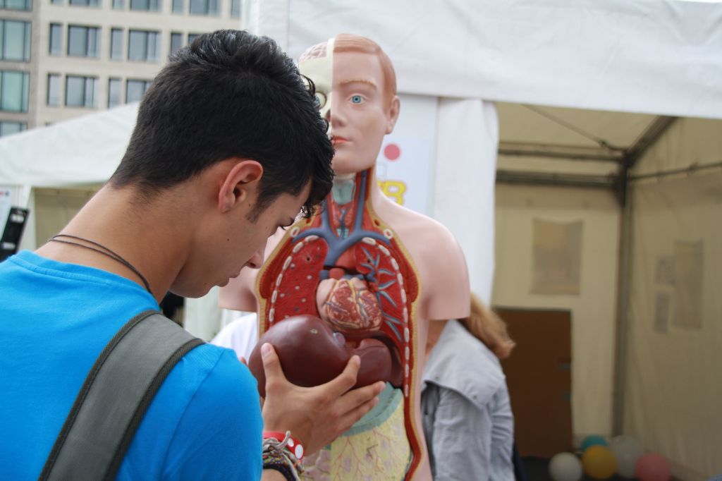 asb_auw_df2012_001.JPG